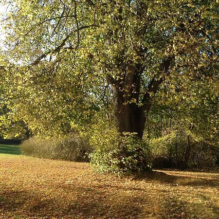 Nykobing Falster Vandrehjem Vandrarhem Nykøbing Falster